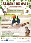Ikona Drwal 2025 plakat PL